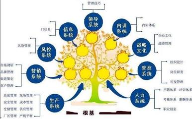 中小企業如何精準選擇與管理咨詢機構 一份實用指南