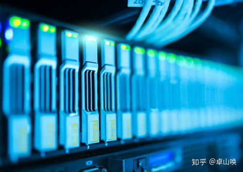 大學計算機教育vs補習班包就業 網絡技術開發領域的選擇困境